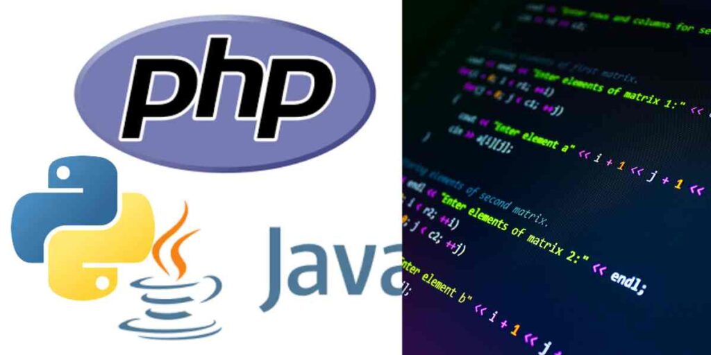 A Beginner’s Guide to Web Development
